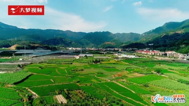 空中新蕉城 | 逃离伏天高温，这个田园是纳凉好去处~-4.jpg