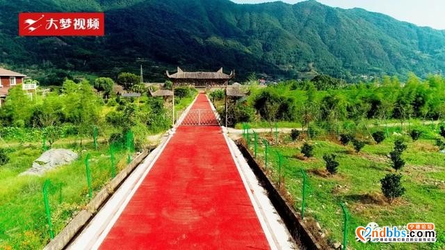 空中新蕉城 | 逃离伏天高温，这个田园是纳凉好去处~-8.jpg