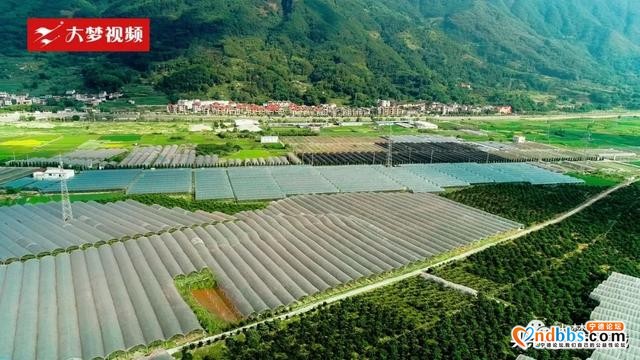 空中新蕉城 | 逃离伏天高温，这个田园是纳凉好去处~-11.jpg