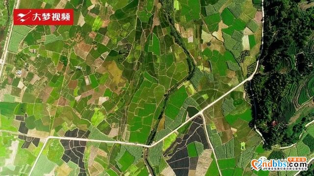 空中新蕉城 | 逃离伏天高温，这个田园是纳凉好去处~-12.jpg