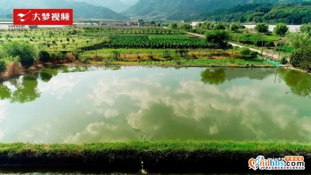 空中新蕉城 | 逃离伏天高温，这个田园是纳凉好去处~-9.jpg