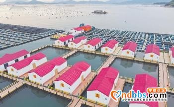 宁德霞浦：美丽的“海上田园”风光-1.jpg