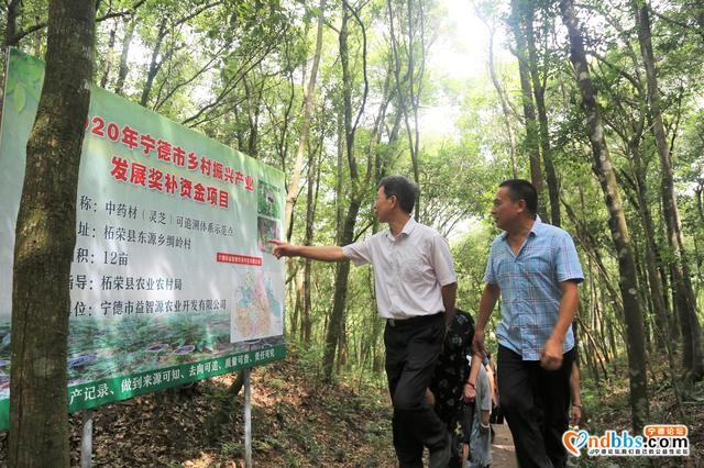 宁德市政协组织各民主党派、工商联和无党派人士视察生态环境建设-2.jpg
