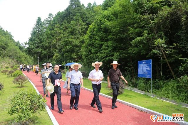 宁德市政协组织各民主党派、工商联和无党派人士视察生态环境建设-1.jpg