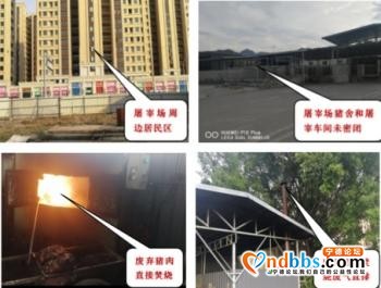 最新！福建曝光12个环境违法典型案例-1.jpg