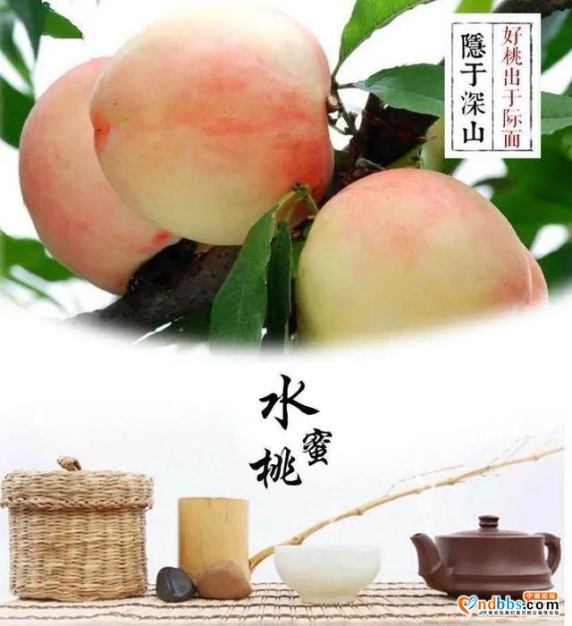 这个季节的宁德，还有什么不为人知的时令美味？-7.jpg