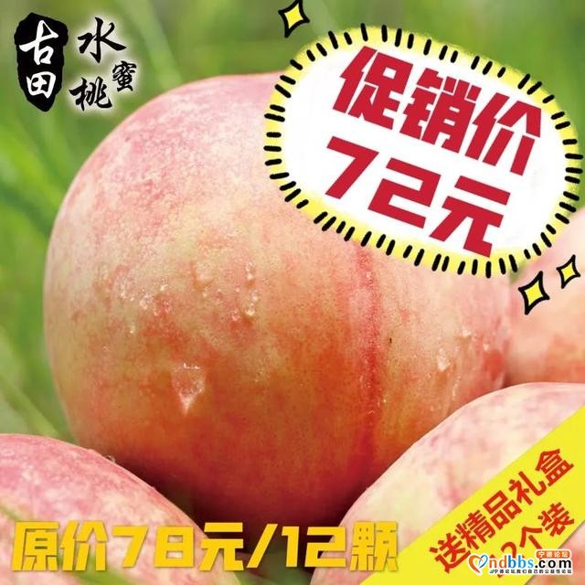 这个季节的宁德，还有什么不为人知的时令美味？-3.jpg