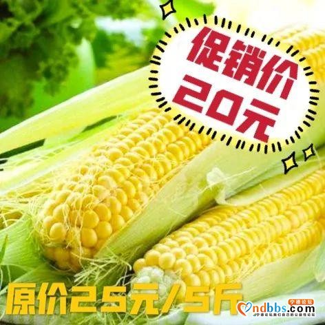 这个季节的宁德，还有什么不为人知的时令美味？-8.jpg