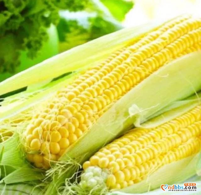 这个季节的宁德，还有什么不为人知的时令美味？-11.jpg