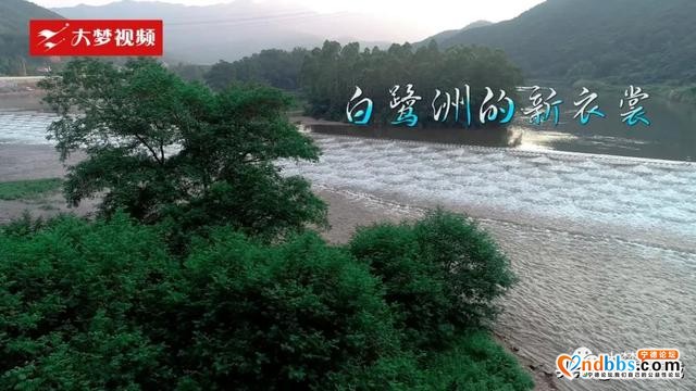 空中新蕉城 | 芳草萋萋“白鹭洲”，这是梦回故乡的河流-2.jpg
