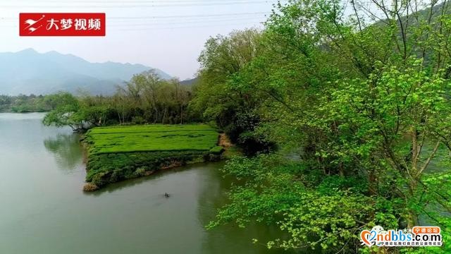 空中新蕉城 | 芳草萋萋“白鹭洲”，这是梦回故乡的河流-5.jpg