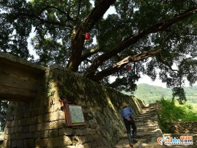 隐藏在宁德福安的状元村，竟然是个旅游胜地，全天免费不需要门票-5.jpg