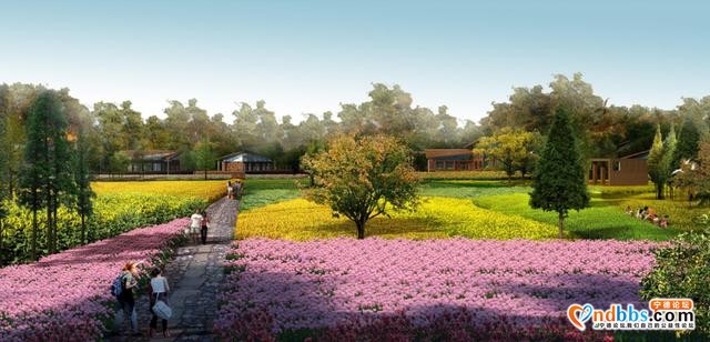 宁德：翠屏湖环湖旅游公路年内建成，看看有多美-13.jpg