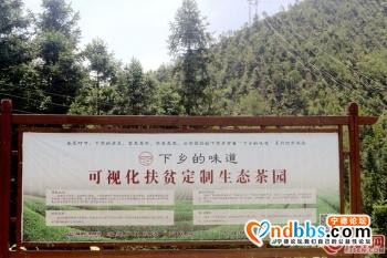 宁德下党乡：走出了一条百姓富、生态美的脱贫发展之路-4.jpg