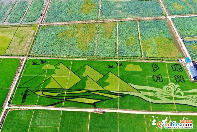 早点！宁德新闻 「2020-07-29」-4.jpg