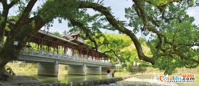 云游宁德 | 你都去过吗？宁德这条红色之旅路线，竟有这么多光荣历史-19.jpg
