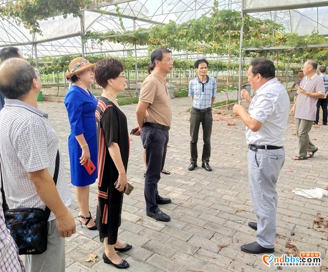优化营商环境 助推宁德市中小微企业发展-2.jpg