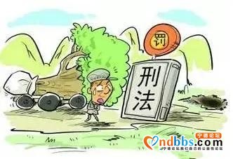宁德：砍“自家山头的树”也犯法？-3.jpg