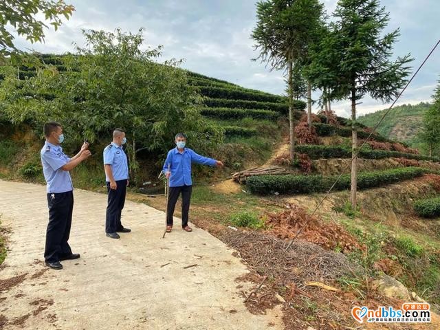 宁德：砍“自家山头的树”也犯法？-2.jpg