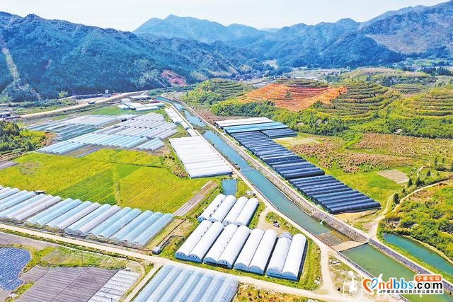 蕉城：以产业振兴强筋骨 打造乡村振兴样板-3.jpg