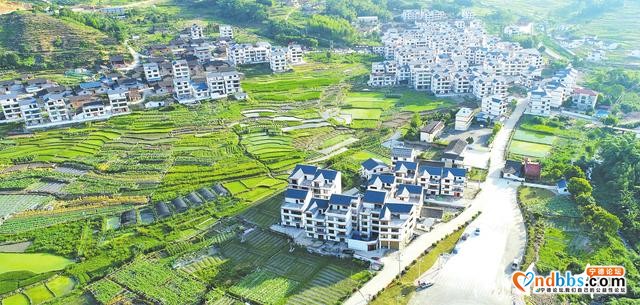 蕉城：以产业振兴强筋骨 打造乡村振兴样板-4.jpg