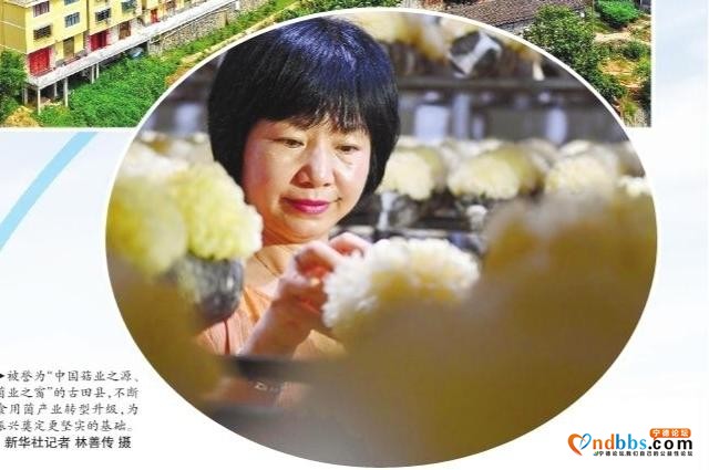 牢记嘱托 走闽东特色乡村振兴之路-4.jpg