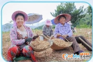 牢记嘱托 走闽东特色乡村振兴之路-7.jpg