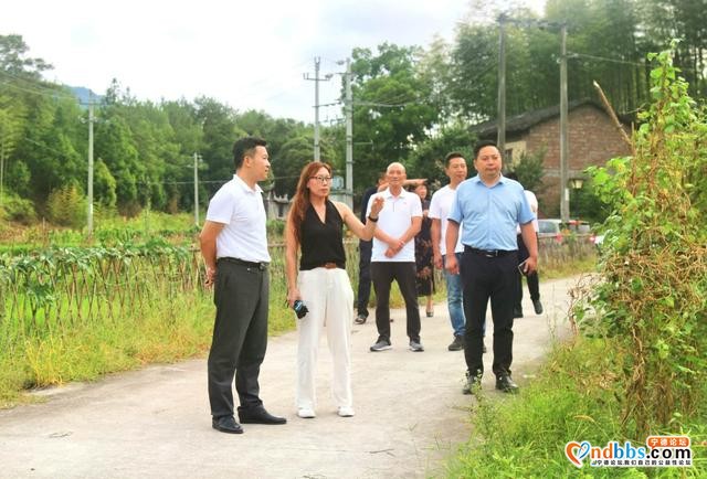 宁德市台港澳办赴屏南县调研 探索乡村振兴中两岸融合发展新路-3.jpg