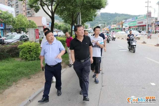 区领导对创城工作现场指导，看看都去了哪…-1.jpg