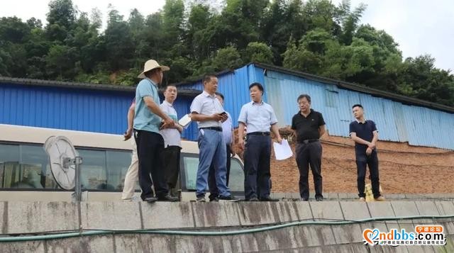 区领导对创城工作现场指导，看看都去了哪…-3.jpg