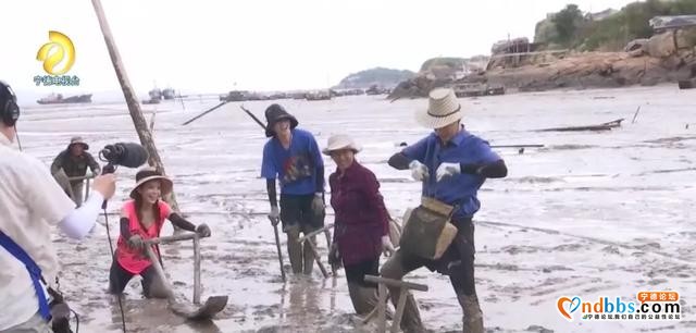央视主持人任鲁豫、朱迅走进霞浦三沙，带你一起赶海啦-3.jpg