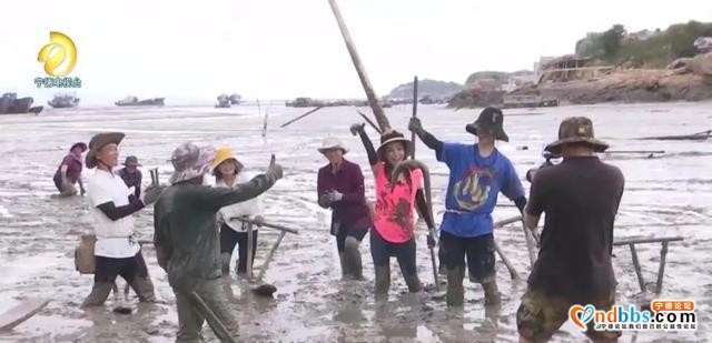 央视主持人任鲁豫、朱迅走进霞浦三沙，带你一起赶海啦-2.jpg