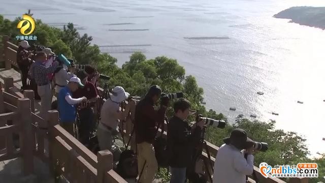 央视主持人任鲁豫、朱迅走进霞浦三沙，带你一起赶海啦-7.jpg