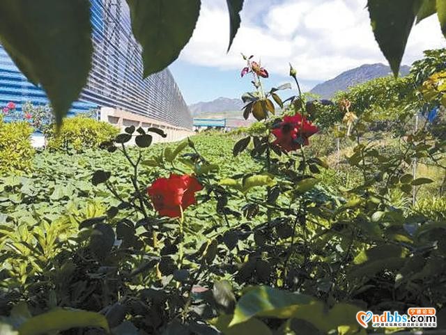 「媒体看青拓」18.5亿元投入构建节能型环保型产业体系-3.jpg