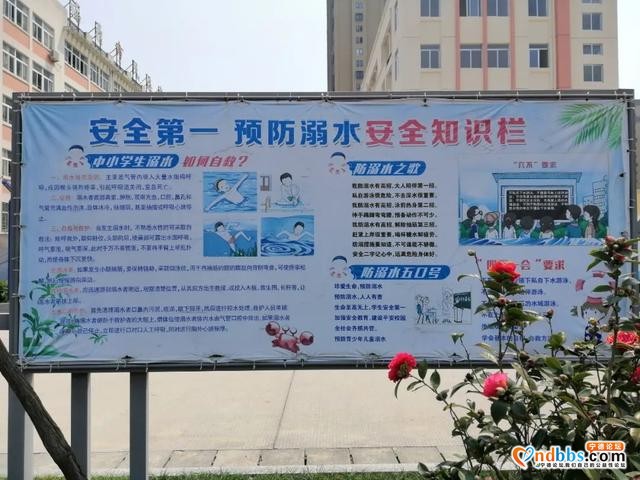 定了！福鼎市城区小升初电脑派位招收计划发布·福鼎一中桐城校区篇-14.jpg