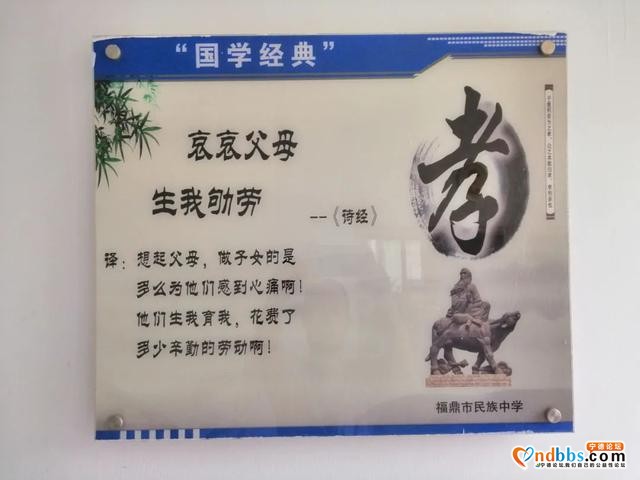 定了！福鼎市城区小升初电脑派位招收计划发布·福鼎一中桐城校区篇-12.jpg