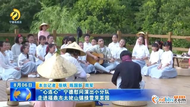 央视“心连心”宁德慰问演出小分队走进福鼎市太姥山镇绿雪芽茶园-1.jpg