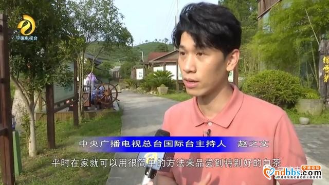 央视“心连心”宁德慰问演出小分队走进福鼎市太姥山镇绿雪芽茶园-3.jpg