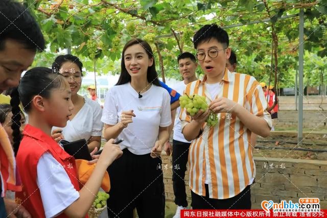 图讯丨“心连心”慰问演出走进宁德，今天福安象环歌甜人美葡萄香-6.jpg