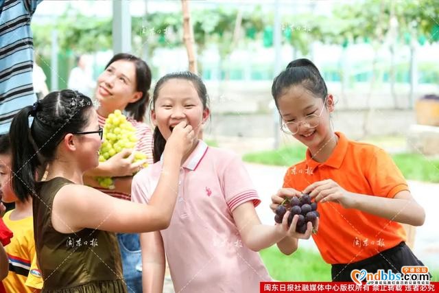 图讯丨“心连心”慰问演出走进宁德，今天福安象环歌甜人美葡萄香-8.jpg
