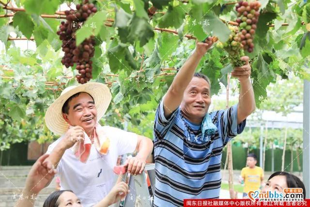 图讯丨“心连心”慰问演出走进宁德，今天福安象环歌甜人美葡萄香-9.jpg