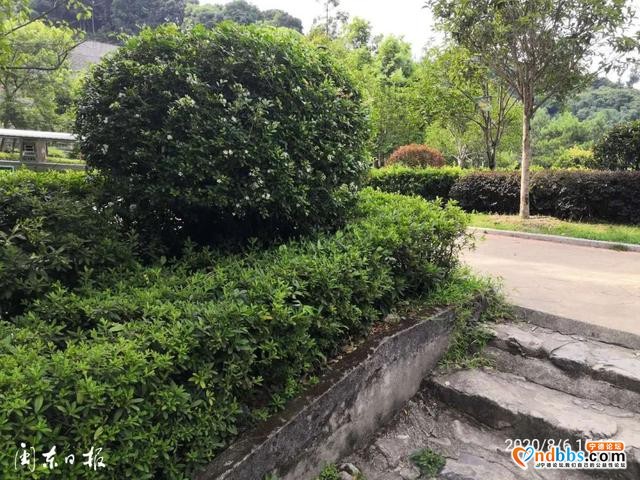 宁德新闻红黑榜?丨好样的！清理公园垃圾、清洗街道、拆除非法遮阳伞、确保消防通道畅通……-1.jpg