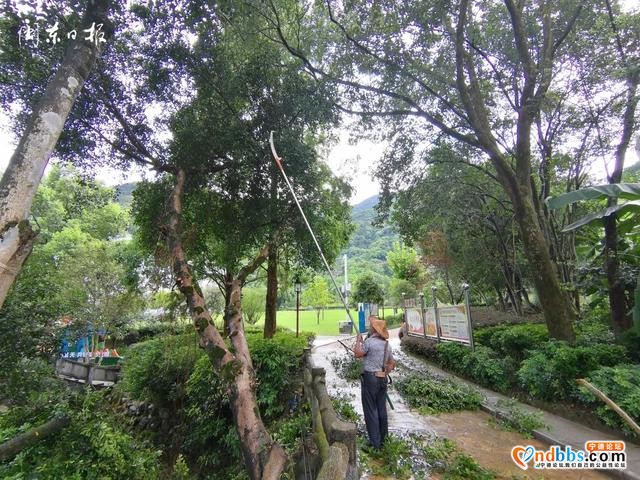 宁德新闻红黑榜?丨好样的！清理公园垃圾、清洗街道、拆除非法遮阳伞、确保消防通道畅通……-6.jpg