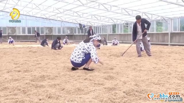 柘荣：以回信精神为引领 念好“参”字经 打好“特色牌”-1.jpg