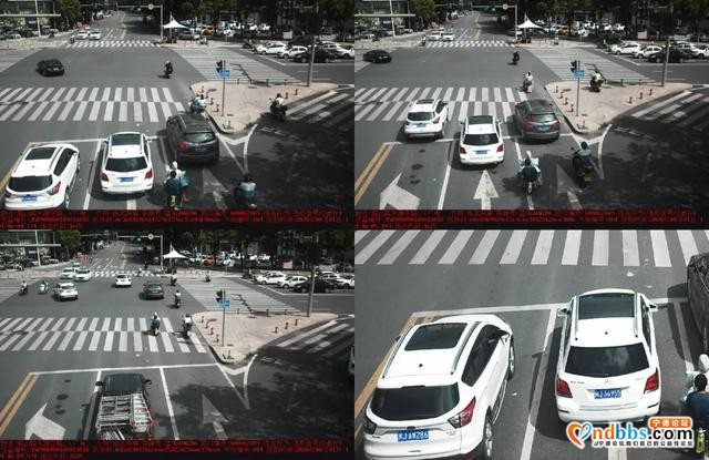 福建宁德这期是谁违反交通规则被曝光？-4.jpg