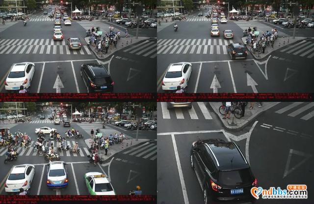 福建宁德这期是谁违反交通规则被曝光？-12.jpg