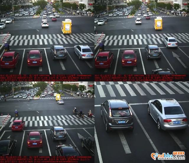 福建宁德这期是谁违反交通规则被曝光？-13.jpg