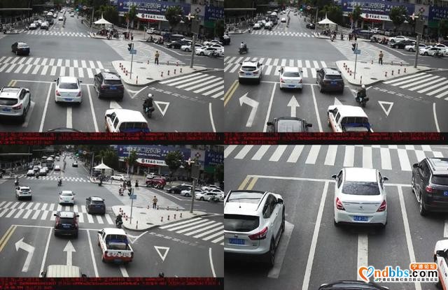福建宁德这期是谁违反交通规则被曝光？-16.jpg
