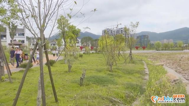 陈昌东等市领导调研宁德世界地质公园文化旅游节筹备情况-4.jpg