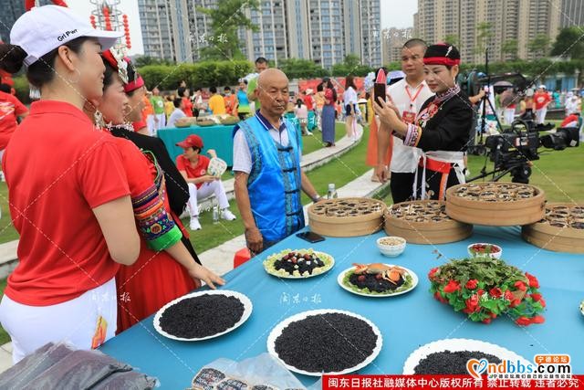图讯丨“心连心”慰问演出走进宁德市区南岸公园-7.jpg